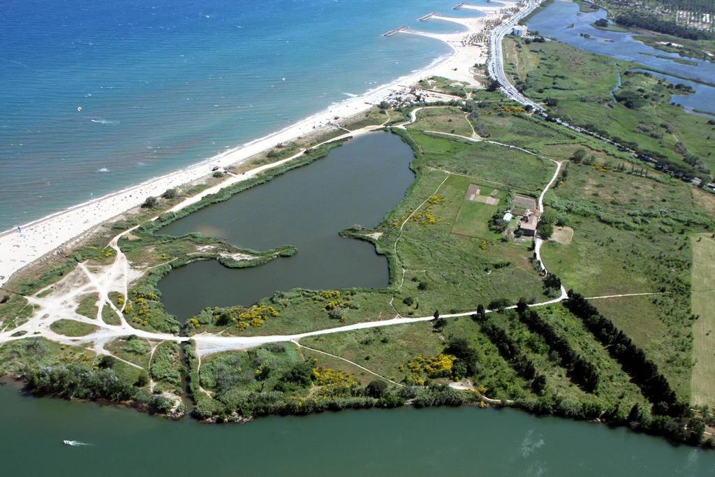 Hotel Au Reveil Des Cigales Saint Aygulf Zewnętrze zdjęcie